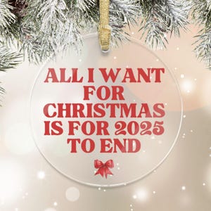 Funny 2025 Survivor Ornament, Sarcastic Christmas Gift