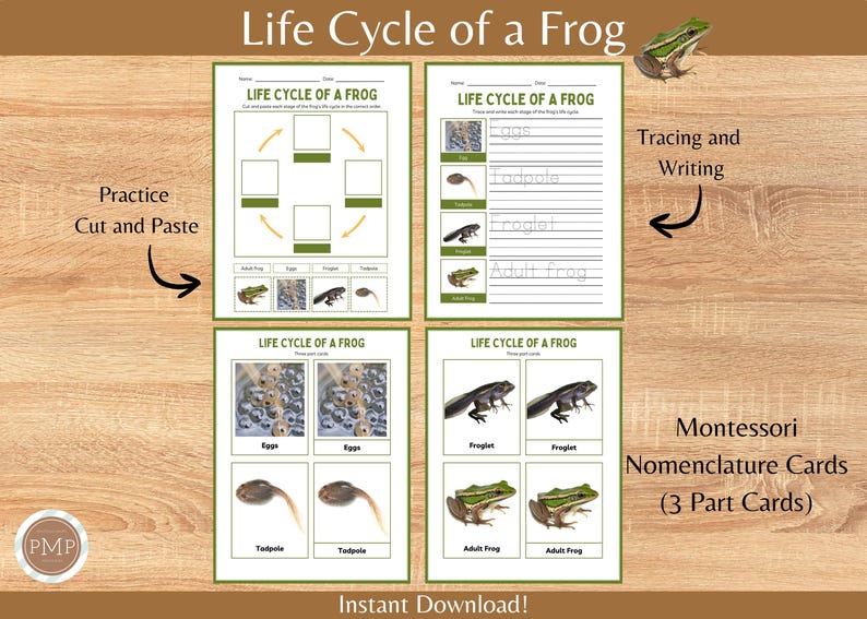 Frog Life Cycle Printable: Homeschool Science Materials (digital ...