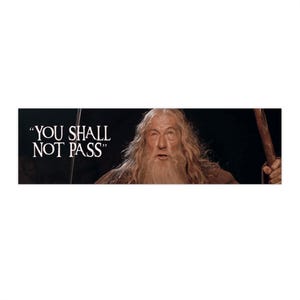 NOT PAS Bumper Sticker