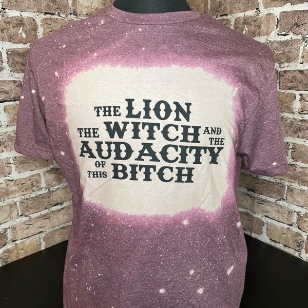 The lion the witch and the audacity