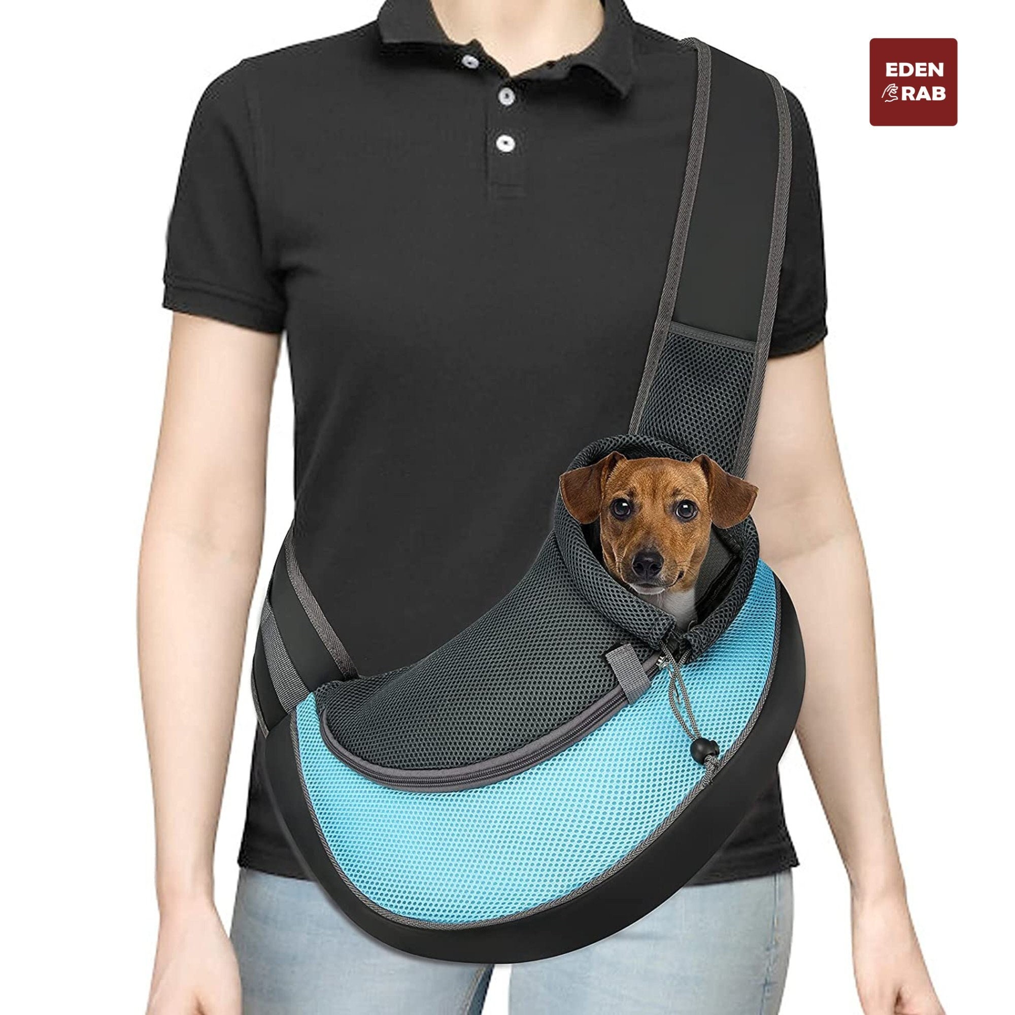 dachshund front carrier