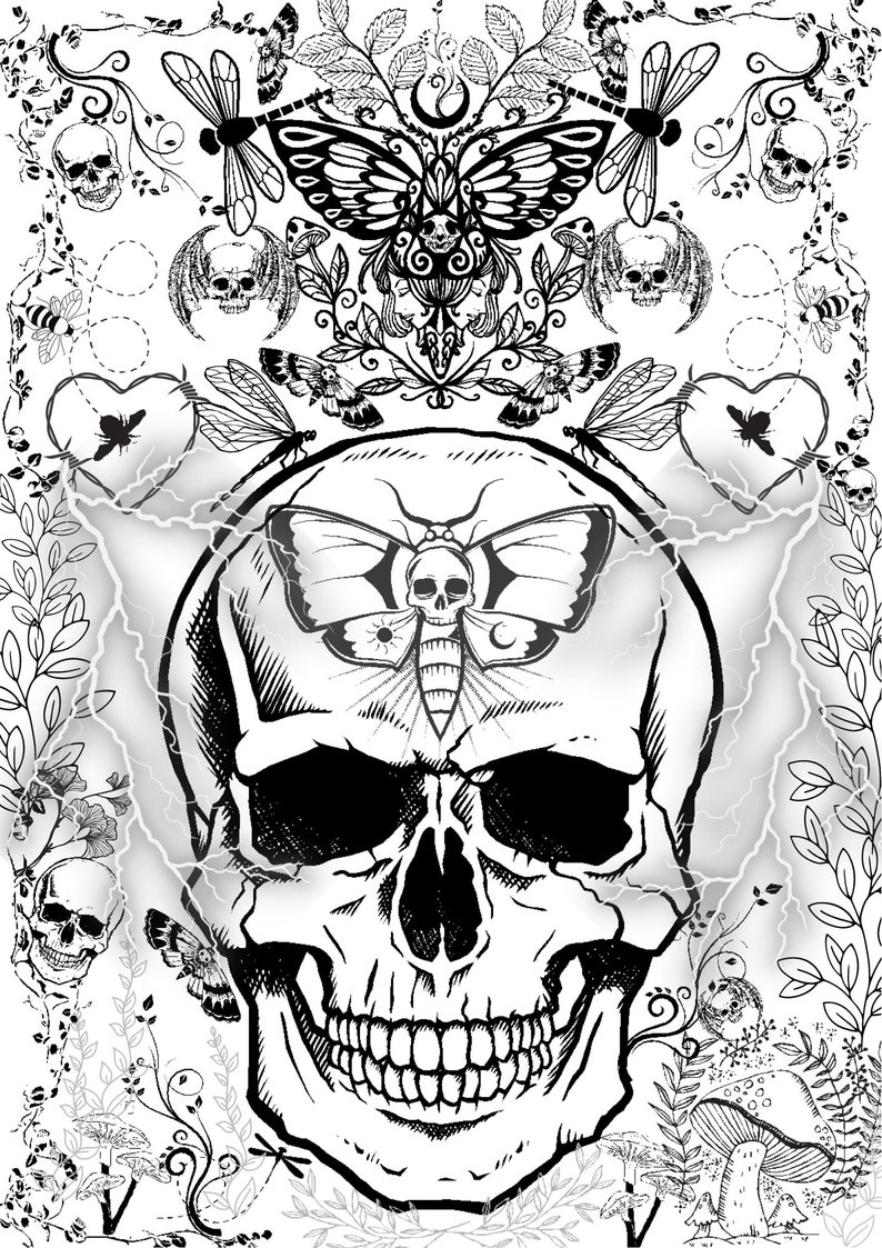 Skulls Coloring Book an Adult Coloring Book Etsy Canada