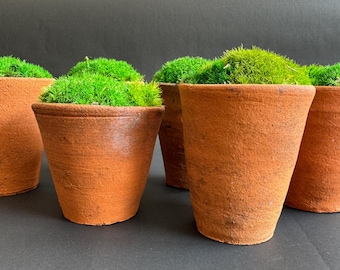 Moss-filled Victorian plant pot - real moss, long-lasting, no watering required - perfect present or gift