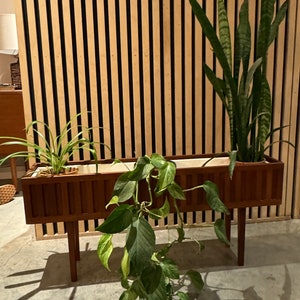 Raised teak indoor plant stand / planter on legs