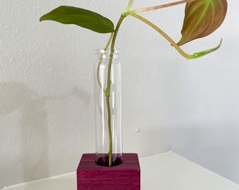 propagation station, propagation stand, plant propagation, wood plant stand, wood propagation station, office plants, plant lover gift