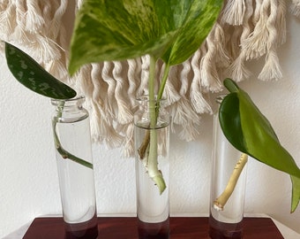propagation station, propagation stand, plant propagation, wood plant stand, wood propagation station, office plants, plant lover gift