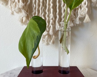 propagation station, propagation stand, plant propagation, wood plant stand, wood propagation station, office plants, plant lover gift