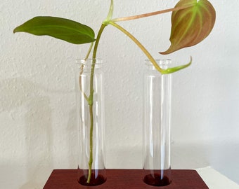 propagation station, propagation stand, plant propagation, wood plant stand, wood propagation station, office plants, plant lover gift