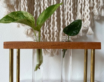 propagation station, propagation stand, plant propagation, wood plant stand, wood propagation station, office plants, plant lover gift
