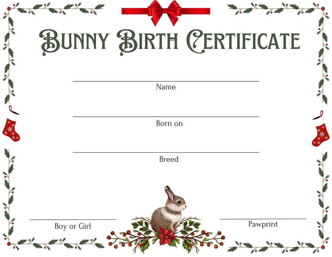 Printable Rabbit Birth Certificate Holiday Birth Certificate Rabbit Birth Certificate Green and Red - Etsy