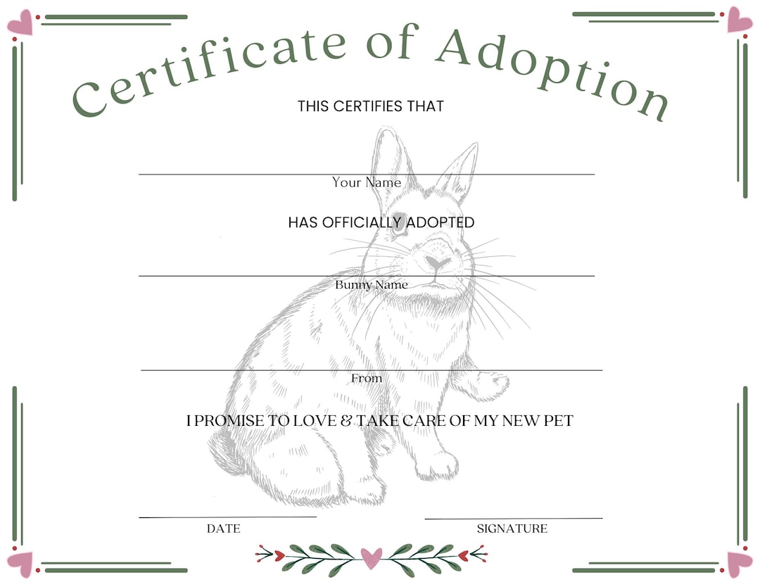 Rabbit Adoption Certificate Pet Rabbit Document Printable Letter Sized ...