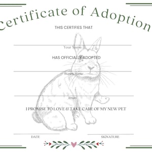 adoptiecertificaat konijn huisdier konijn afdrukbaar document record hart in lettergrootte