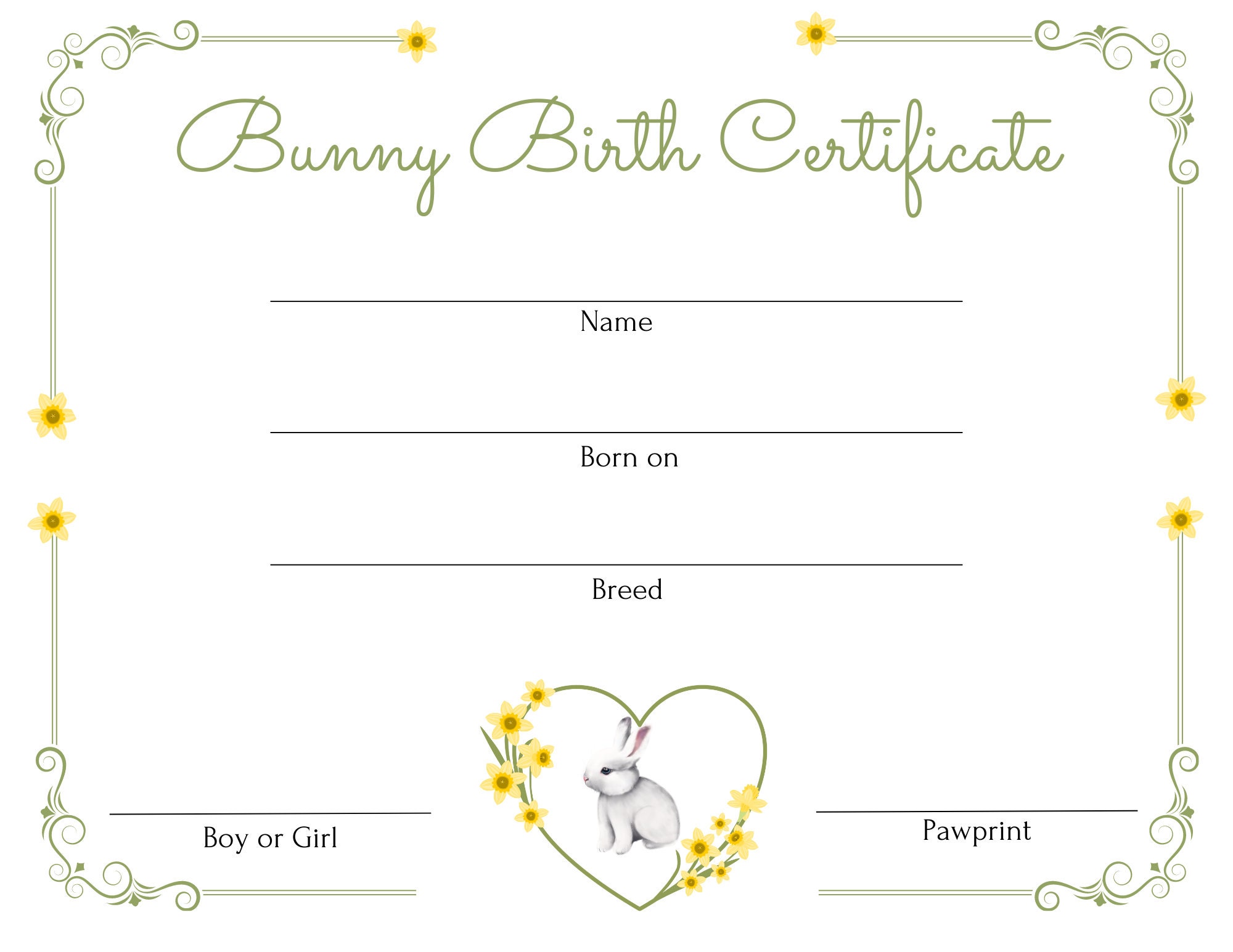 Birth Certificate Rabbit Birth Certificate Yellow Etsy Birth Certificate Rabbit Birth Certificate Yellow Etsy