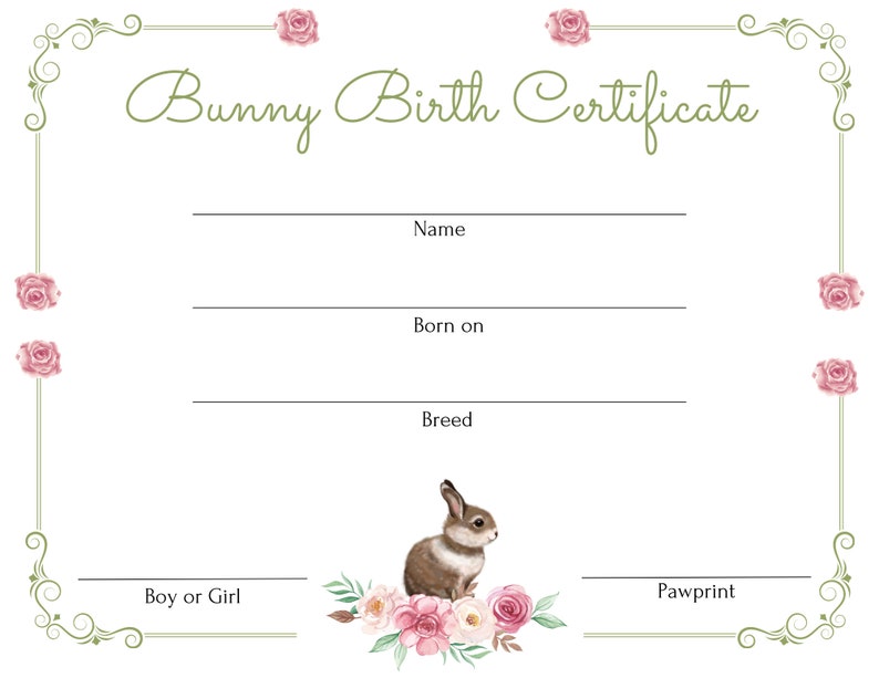 Birth Certificate Rabbit Birth Certificate Pink Etsy Birth Certificate Rabbit Birth Certificate Pink Etsy
