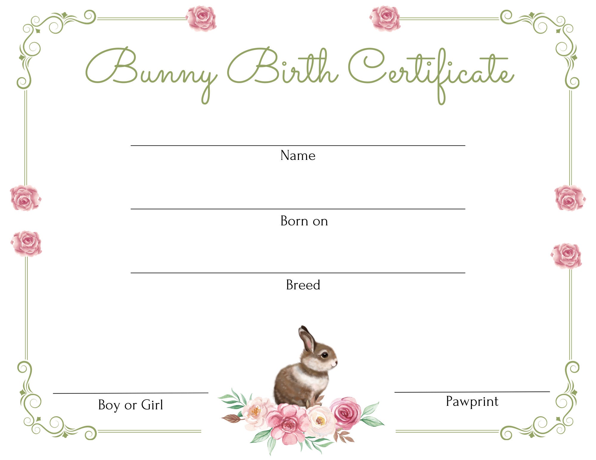 Birth Certificate Rabbit Birth Certificate Pink Etsy Birth Certificate Rabbit Birth Certificate Pink Etsy