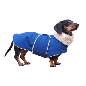 May include: A black and brown dachshund wearing a blue dog coat with a white fleece lining. The coat has a velcro closure on the back.