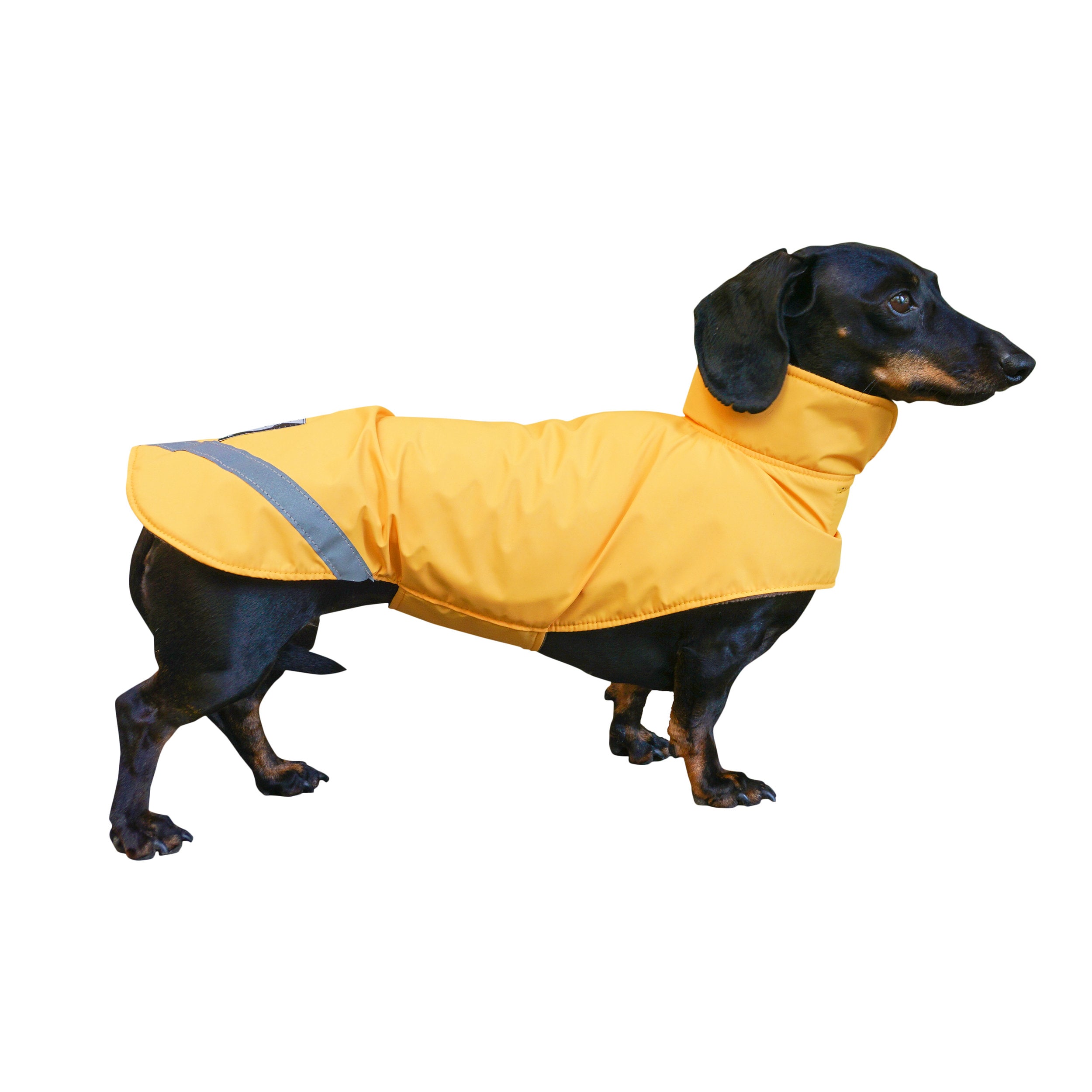 Dachshund Coat With Polar Fleece Lining Waterproof Dachshund Etsy