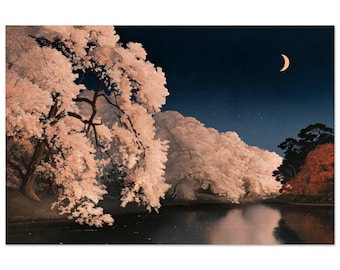 May include: A rectangular wall art print depicting a night scene with pale pink cherry blossom trees overhanging a dark, reflective body of water. A thin crescent moon glows in the deep navy blue sky above the trees, with dark foliage visible on the right.
