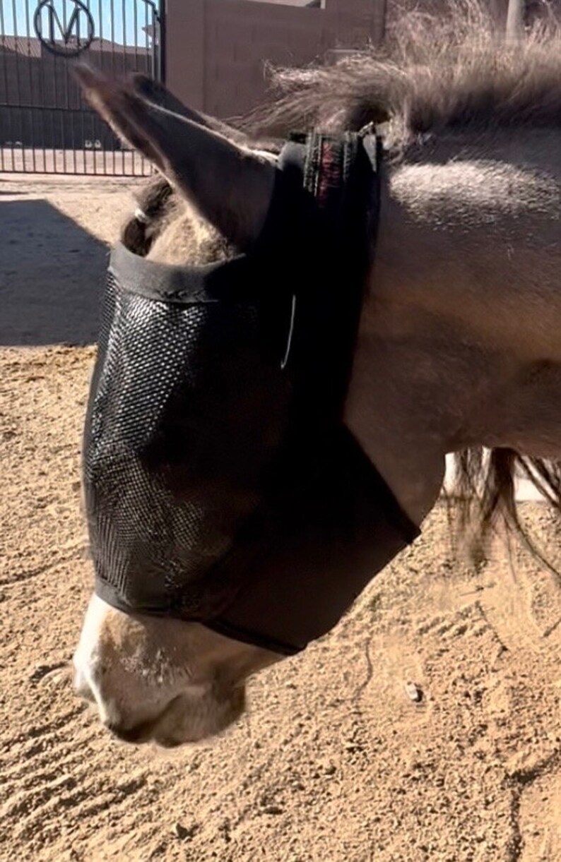 XSPAND® Miniature Horse Fly Mask Etsy