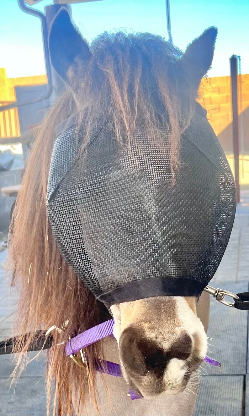 XSPAND® Miniature Horse Fly Mask Etsy