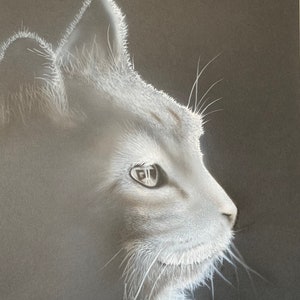 Zeitlose Katzenpracht in Schwarz-Weiß: Handgemaltes Airbrush-Kunstwerk - Einzigartige Katze für Wohn-& Schlafzimmer. Acryl auf Karton,DIN A3