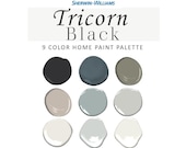 Sherwin Williams Tricorn Black Paint Color Palette, Tricorn Black Front Door, Tricorn Black Exterior, Coordinating Whole House Paint Color