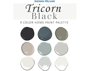 Sherwin Williams Tricorn Black Paint Color Palette, Tricorn Black Front Door, Tricorn Black Exterior, Coordinating Whole House Paint Color