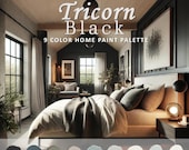 Tricorn Black Paint Color Palette, Sherwin Williams, Tricorn Black Front Door, Tricorn Black Exterior, Coordinating Whole House Paint Color