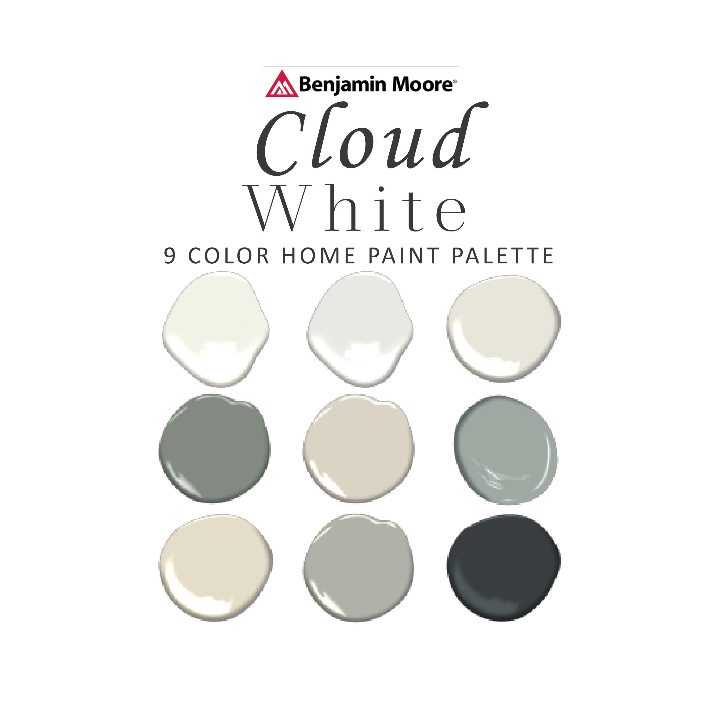 Cloud White Paint Color Palette Benjamin Moore OC130 Etsy