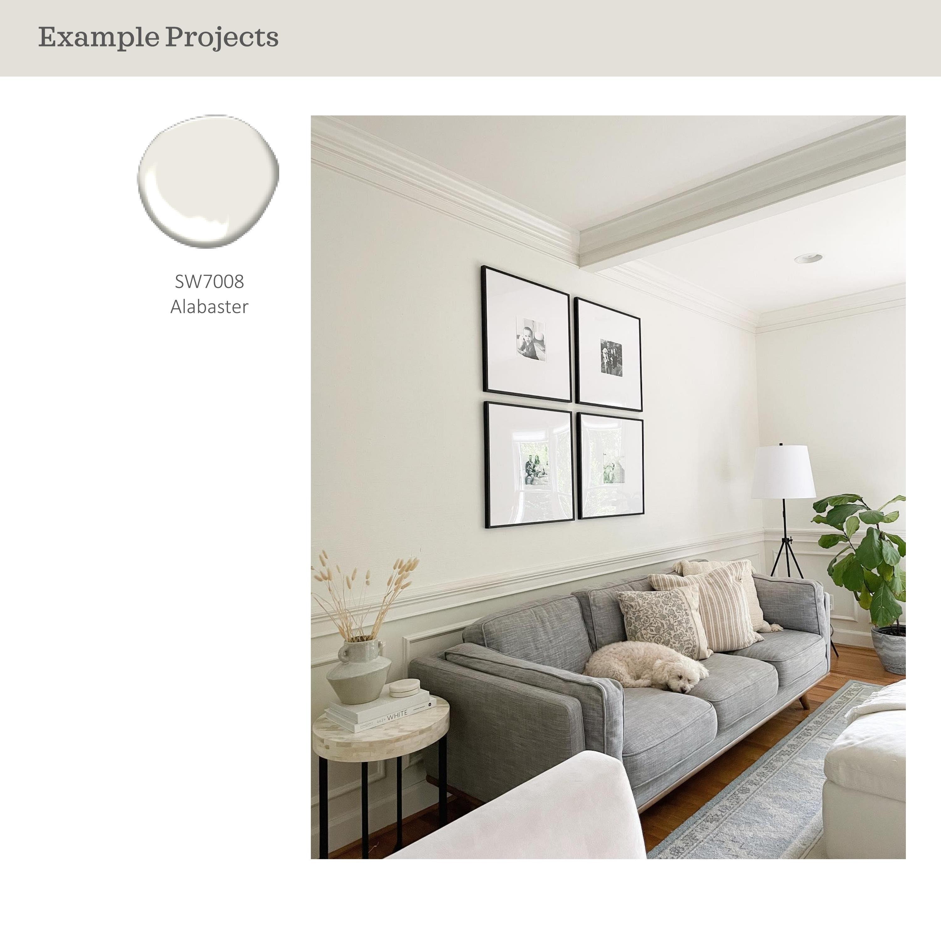 Sherwin Williams Alabaster Paint Color Palette, Best White, Alabaster