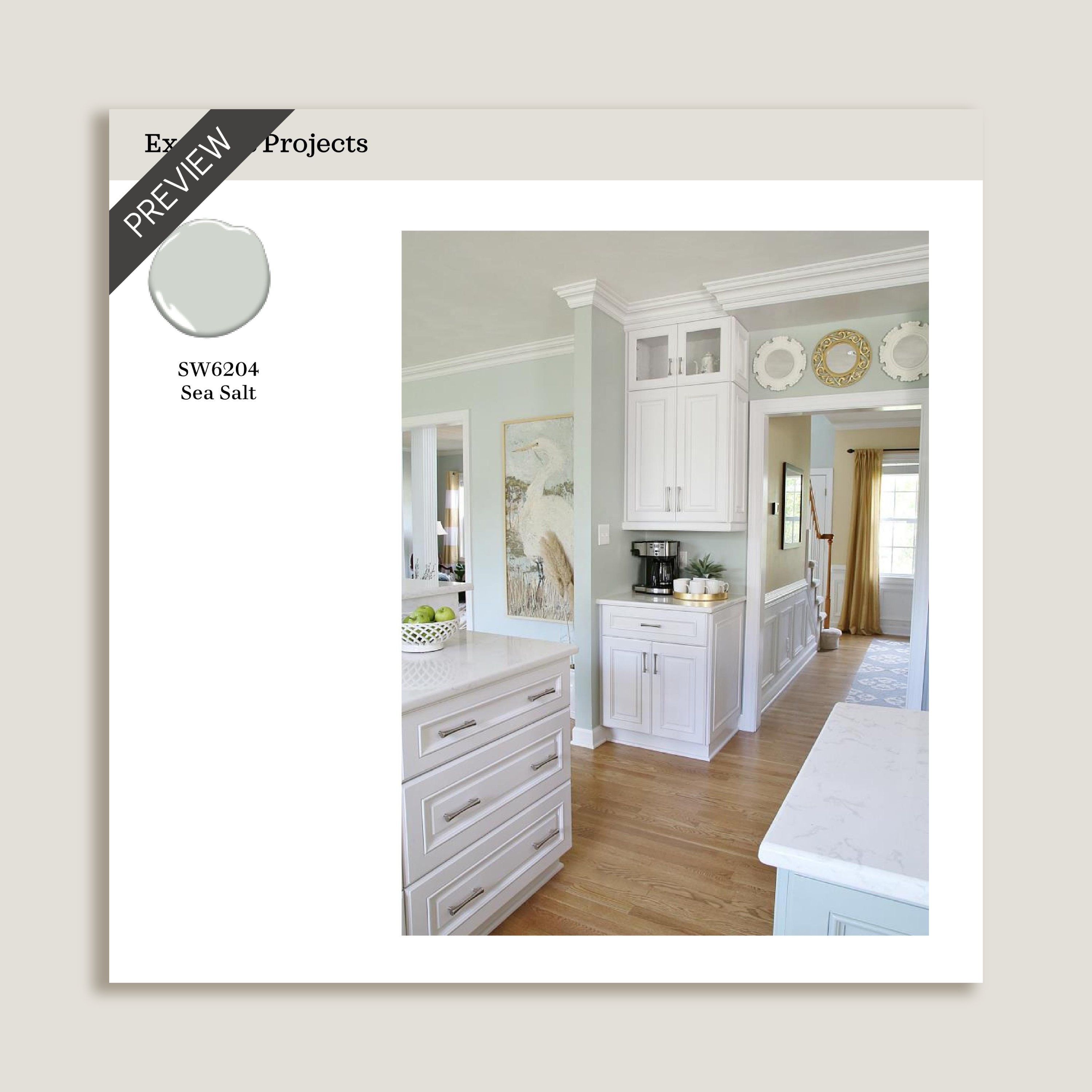 Sea Salt Paint Color Palette, Sherwin Williams, Sea Salt Bathroom