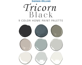 Sherwin Williams Tricorn Black Paint Color Palette, Front Door, Exterior, Joanna Gaines, Studio McGee, Coordinating Whole House Paint Color
