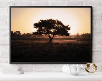Tree Silhouette At Sunrise | Tree Wall Art Print, Forest Wall Decor, Nature Home Decor, Netherlands Print, Home Decor Modern Living Room