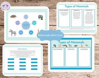 Mini Mammals Unit Study-Science and Nature Study for Homeschool