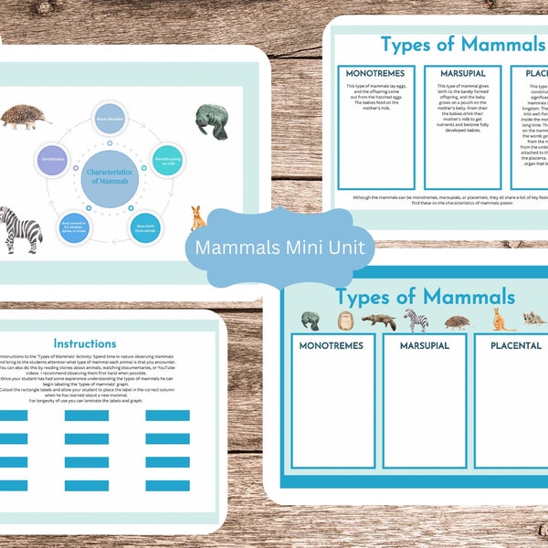 Mini Mammals Unit Study-Science and Nature Study for Homeschool