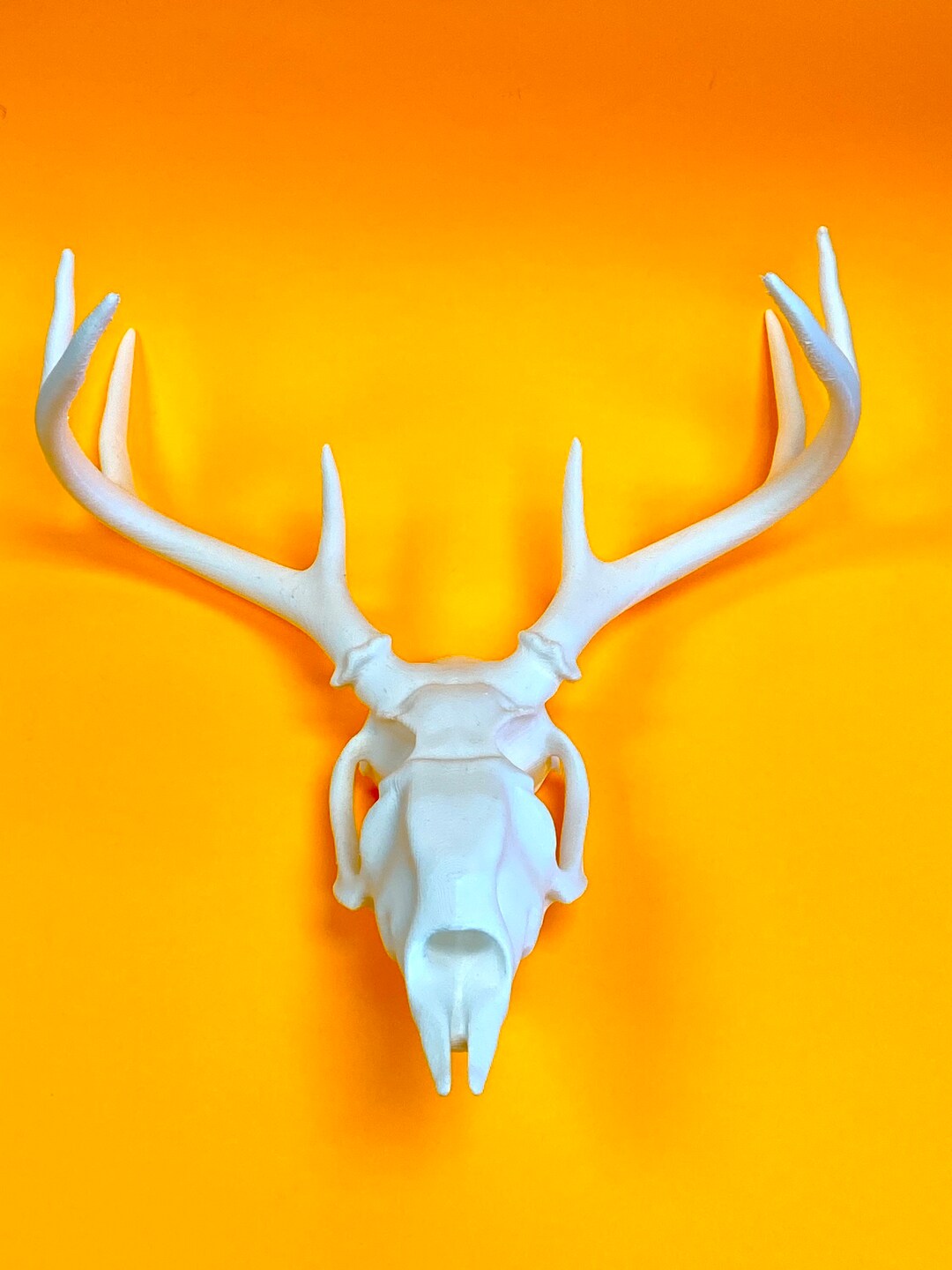 3d Printed Deer Skull Etsy