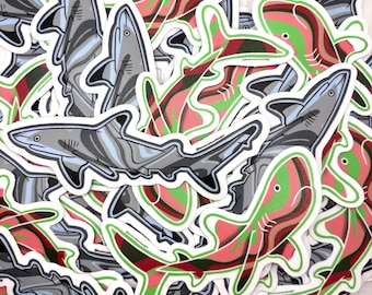 Blacktip Shark and Whitetip Shark Sticker Bundle: Matte Decals