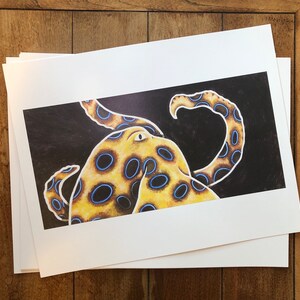 Blue Ringed Octopus Acrylic Paint Print | illustration, painting, sea art, sea life, ocean, home decor, gift, wildlife, animals