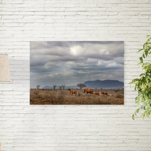 Elephant Crossing, African Safari Photograph Poster