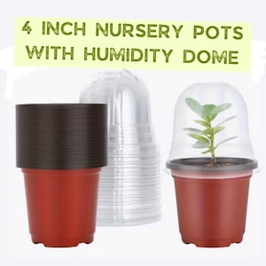 Puede incluir: Un juego de macetas de vivero de 10 cm con cúpulas de humedad. Las macetas son marrones y las cúpulas son de plástico transparente. Una maceta tiene una planta pequeña dentro.