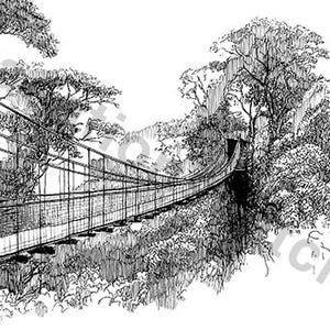 May include: Black and white pen and ink drawing of a suspension bridge spanning a lush forest. The bridge is detailed with railings and support cables, surrounded by trees and foliage. The artwork is signed in the lower right corner.
