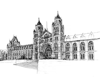 London Natural History Museum Drawing Digital File