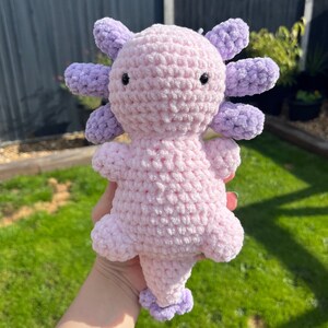 Сrochet Kit Beginner Crochet Axolotl Sister Gift 