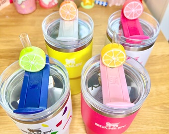 Niedliche Zitrus Stroh Topper | Trinkbuddy | Anhänger | Zitrone | Limette | Orange | Pampelmuse