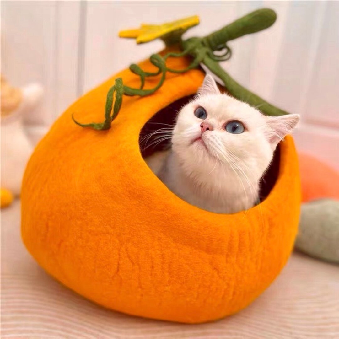 Unique Design Wool Felt Cat Bed/handcrafted Wool Felt Cat Etsy