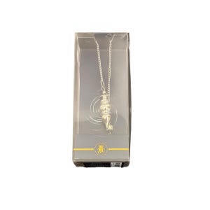 May include: A silver pendulum with a chain in a clear plastic box. The pendulum is shaped like a teardrop with a pointed tip. The box has a gold logo with a beetle design.