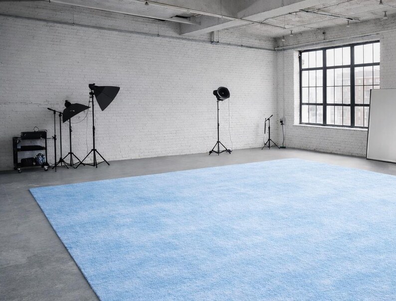 May include: A spacious photography studio with a large, light blue rug covering the floor. The room features a white brick wall, a large window, and professional lighting equipment on tripods. The ceiling is concrete, and the overall aesthetic is minimalist.