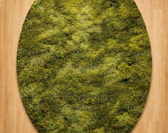 Moss Meadow Oval Shape Hand-Tufted Green Rug Tufted Wool Area Rug, Irregular Shaped Rug for Living Room, Trendy 2026 Color Home Decor