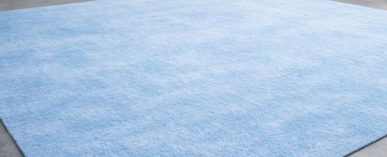 May include: A large, rectangular area rug in a soft, light blue color. The rug has a plush, textured surface, creating a comfortable and inviting look. The rug is suitable for living rooms, bedrooms, or other spaces.