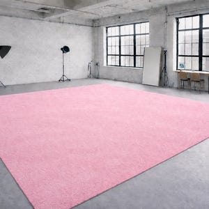 May include: A large, rectangular, light pink rug dominates the center of a studio space. The rug is placed on a concrete floor, and the walls are white brick. Studio lighting equipment is visible in the background, along with large windows.